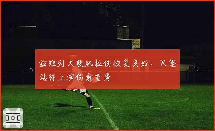 兹维列夫腹肌拉伤恢复良好,汉堡站将上演伤愈首秀