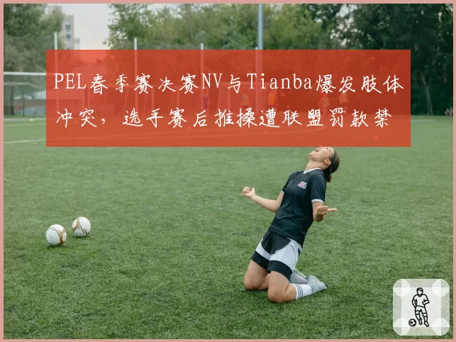 PEL春季赛决赛NV与Tianba爆发肢体冲突，选手赛后推搡遭联盟罚款禁赛