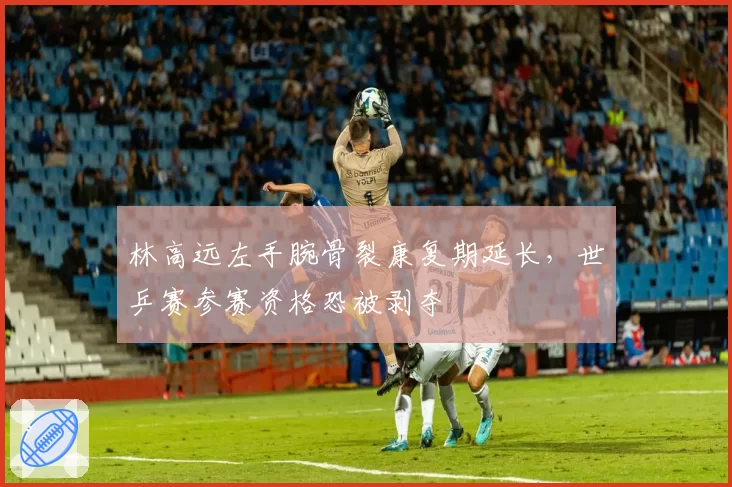 林高远左手腕骨裂康复期延长，世乒赛参赛资格恐被剥夺