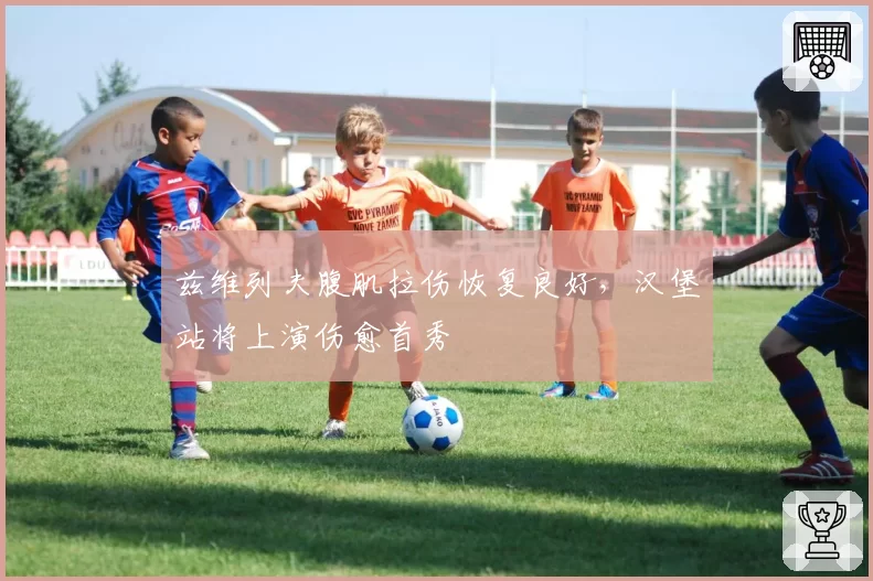 兹维列夫腹肌拉伤恢复良好,汉堡站将上演伤愈首秀