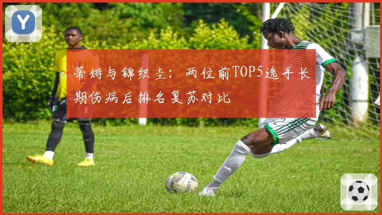 蒂姆与锦织圭:两位前TOP5选手长期伤病后排名复苏对比