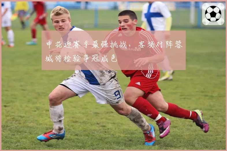 申花迎赛季最强挑战，客场对阵蓉城将检验争冠成色