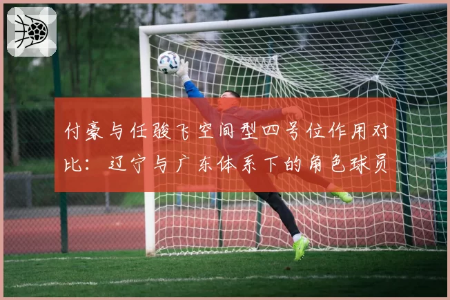 付豪与任骏飞空间型四号位作用对比：辽宁与广东体系下的角色球员价值