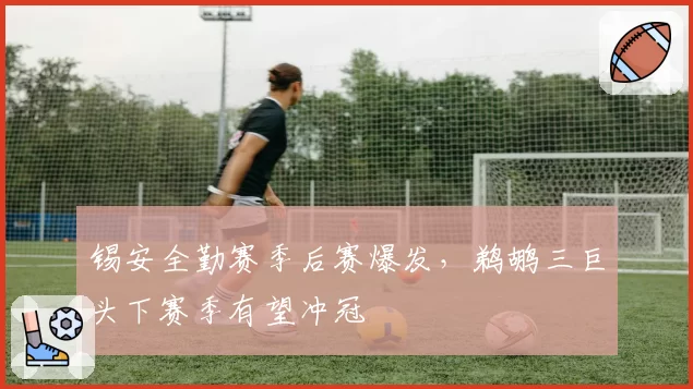 锡安全勤赛季后赛爆发，鹈鹕三巨头下赛季有望冲冠
