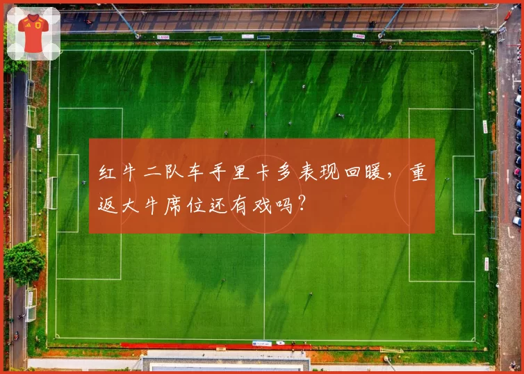 红牛二队车手里卡多表现回暖，重返大牛席位还有戏吗？