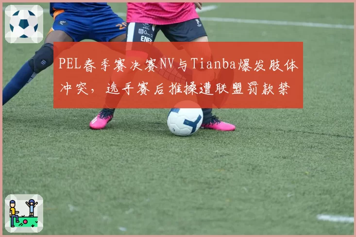 PEL春季赛决赛NV与Tianba爆发肢体冲突，选手赛后推搡遭联盟罚款禁赛